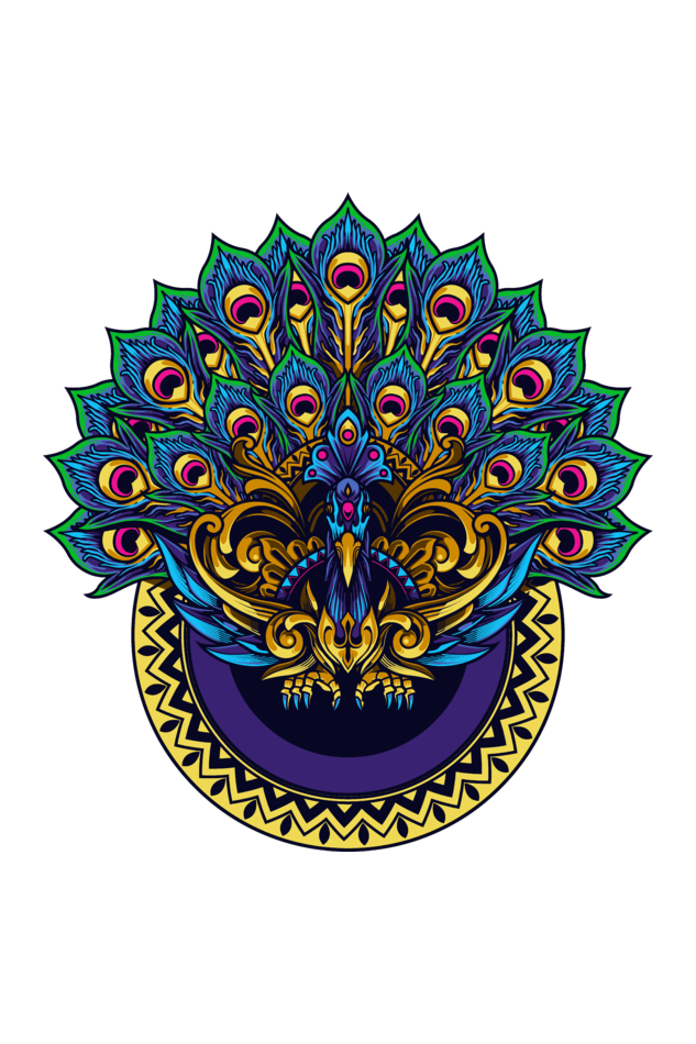 Peacock Oversized T-Shirt